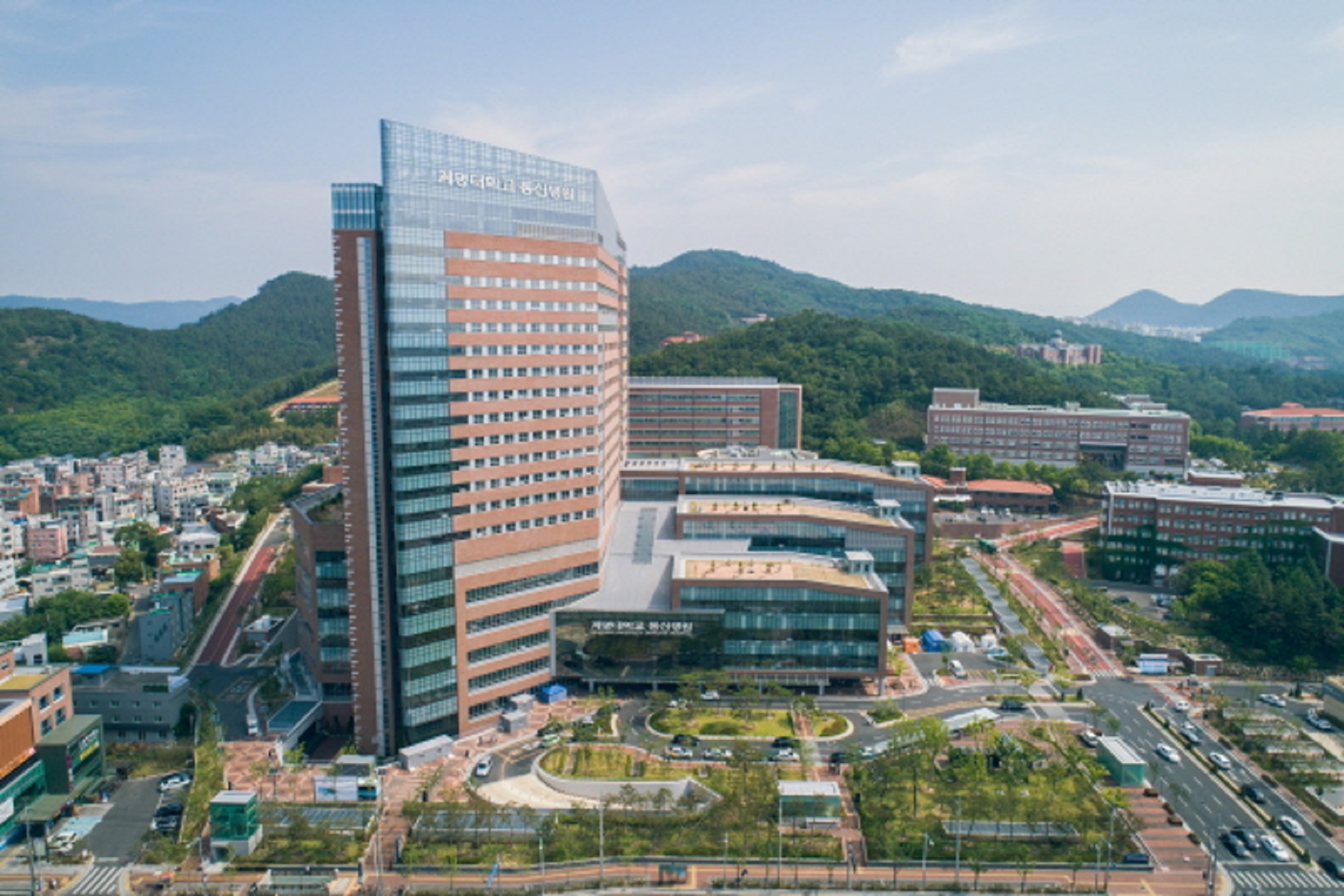 대구광역시, 계명대 동산병원서 ‘뇌산업 활성화 포럼’ 개최